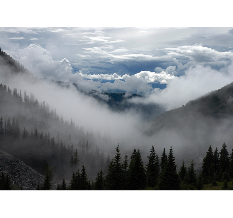 풍경 벽 벽화 안개가 자욱한 숲 경치 - TenStickers