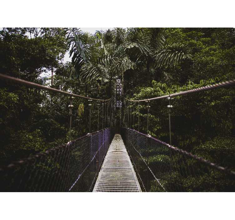 포토 뮤럴 자연 현수교 모험 - TenStickers