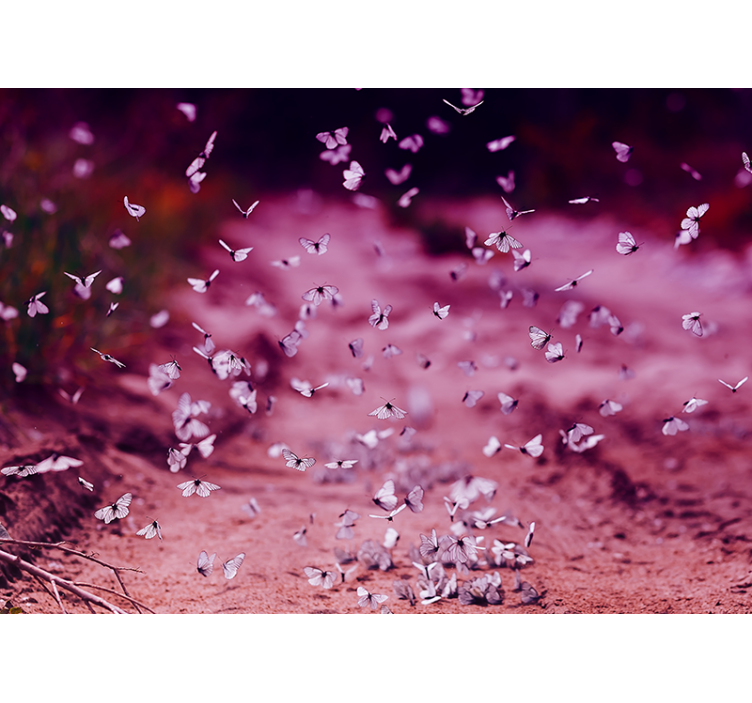 꽃 벽 벽화 섬세한 나비 춤 - TenStickers