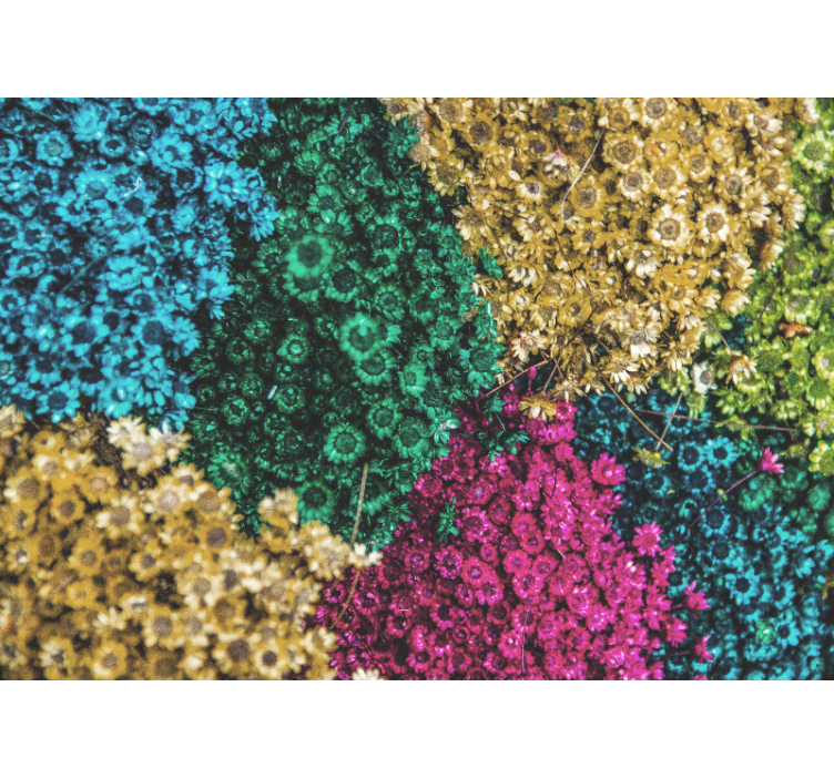 꽃 벽 벽화 다채로운 꽃무늬 - TenStickers