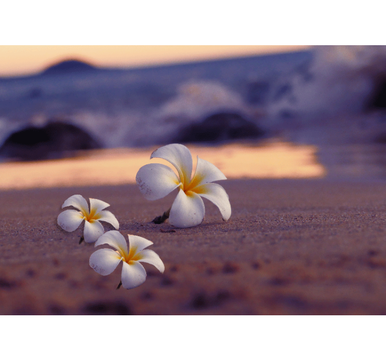 양귀비 벽 벽화 열대 꽃 트리오 - TenStickers