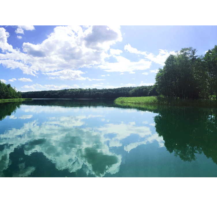 호수 벽 벽화 고요한 반영 - TenStickers