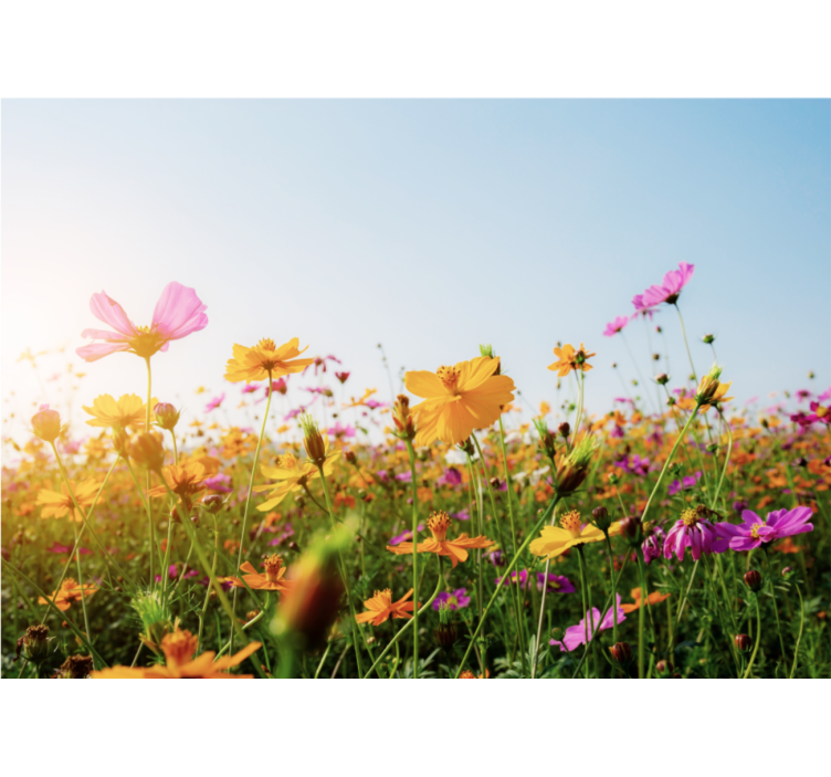 꽃 벽 벽화 다채로운 꽃이 만개한 식물 - TenStickers