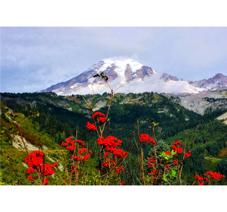 풍경 벽 벽화 눈 덮인 산 - TenStickers