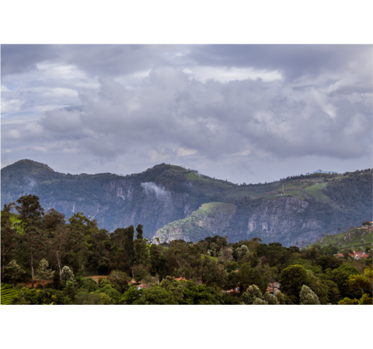 풍경 벽 벽화 고요한 산 전망 - TenStickers