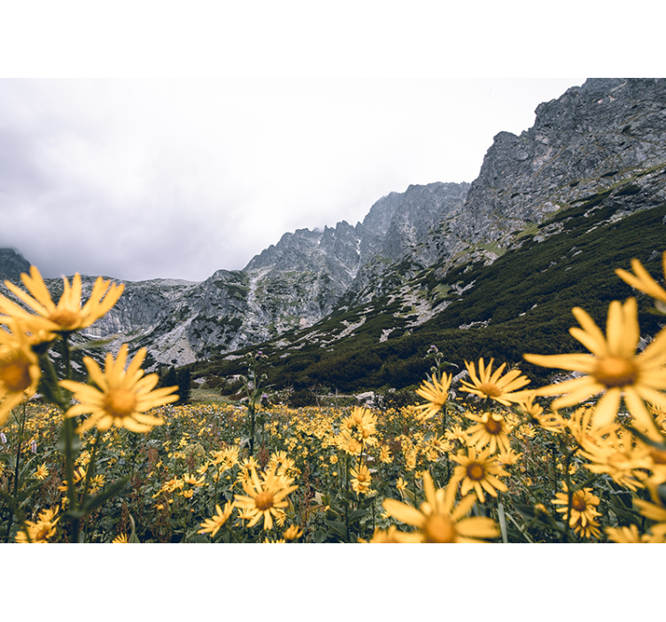 꽃 벽 벽화 노란 꽃이 만발한 초원 - TenStickers