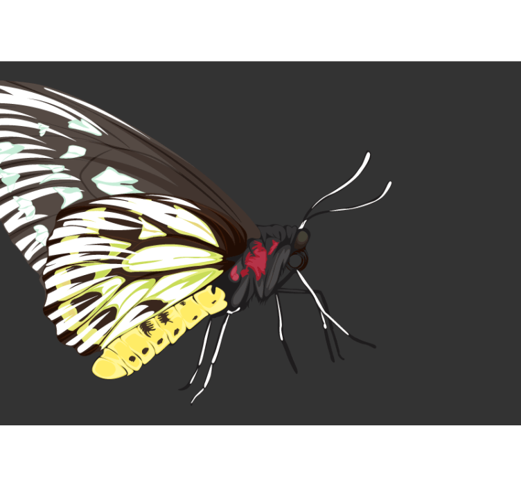 기타 벽면 벽화 노란 나비 디자인 - TenStickers