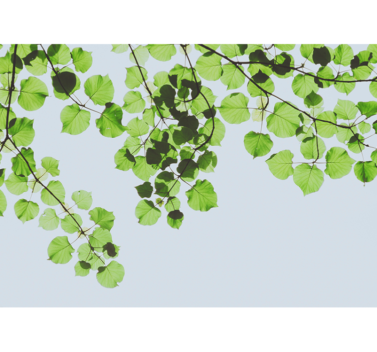 나무 벽 벽화 잎이 무성한 가지의 캐노피 - TenStickers