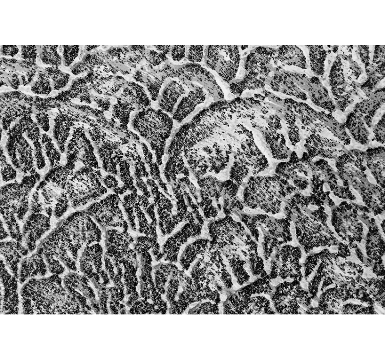 질감과 패턴 벽 벽화 유기적 질감 패턴 - TenStickers