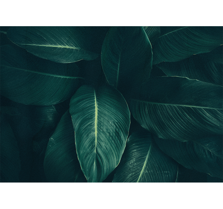 포토 뮤럴 자연 풍성한 잎사귀 질감 - TenStickers