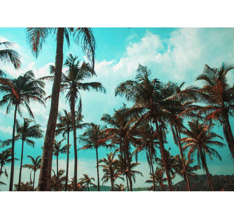 포토 뮤럴 자연 야자수의 천국 - TenStickers
