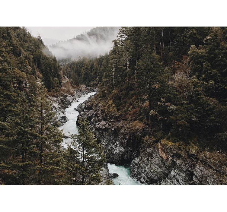 포토 뮤럴 자연 장엄한 강 풍경 - TenStickers