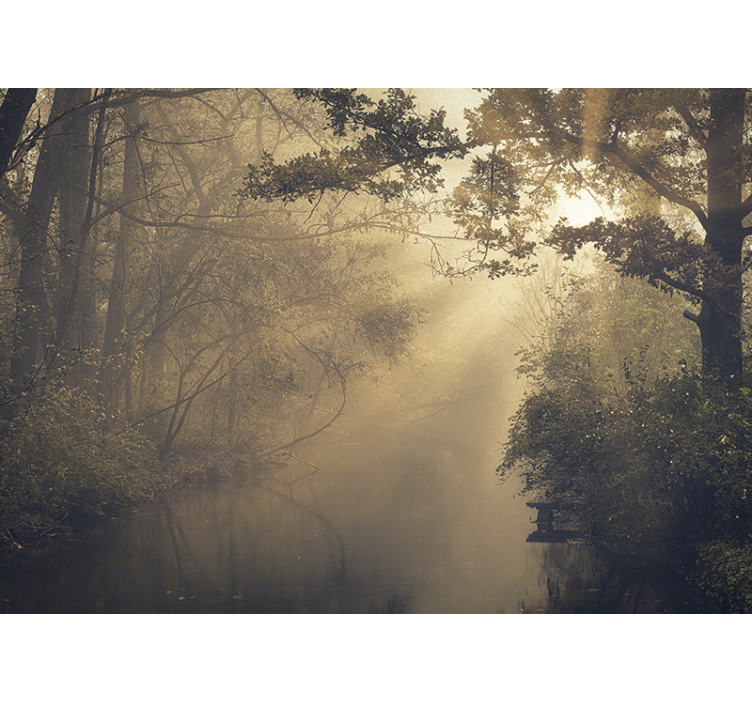 포토 뮤럴 자연 빛나는 숲 풍경 - TenStickers