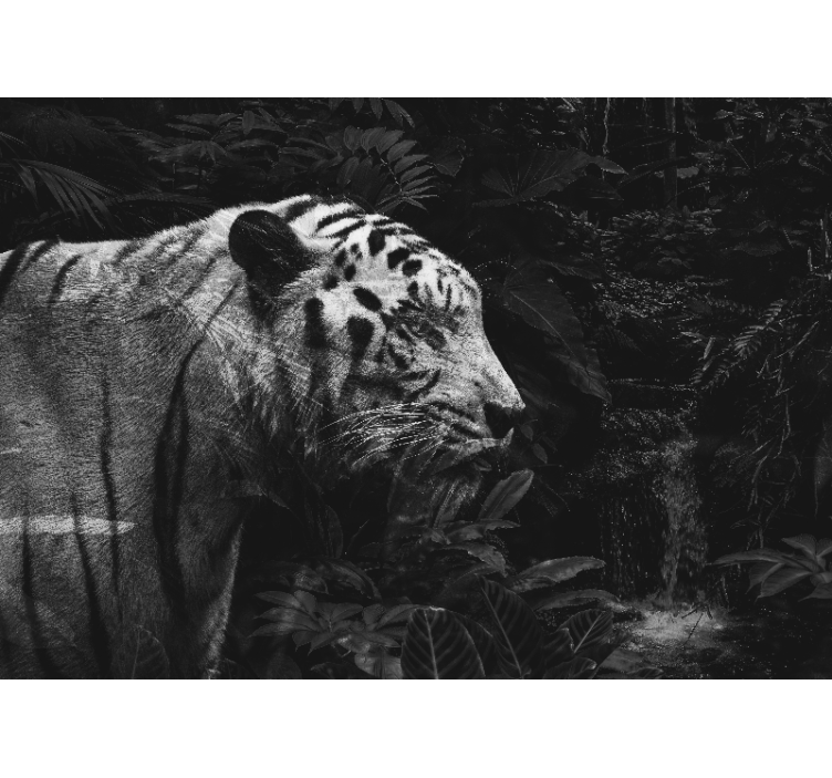 동물 벽 벽화 웅장한 백호 - TenStickers