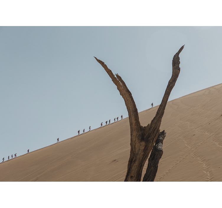 사막 벽 벽화 모래언덕 하이커 실루엣 - TenStickers