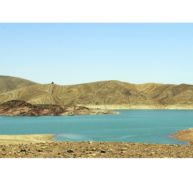 산 벽 벽화 고요한 산호수 - TenStickers