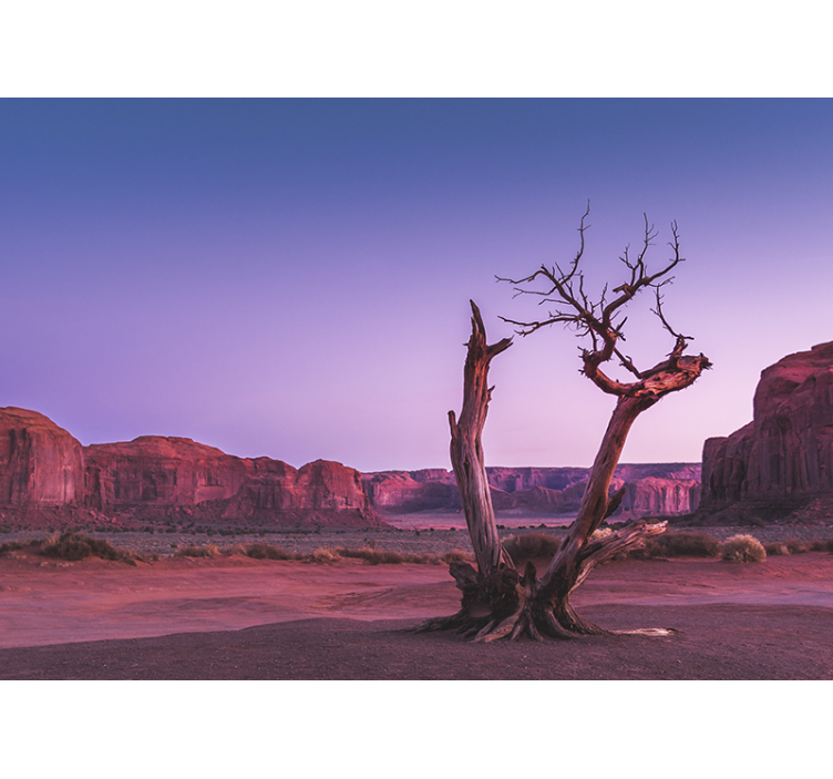 풍경 벽 벽화 사막 돌 구조 - TenStickers