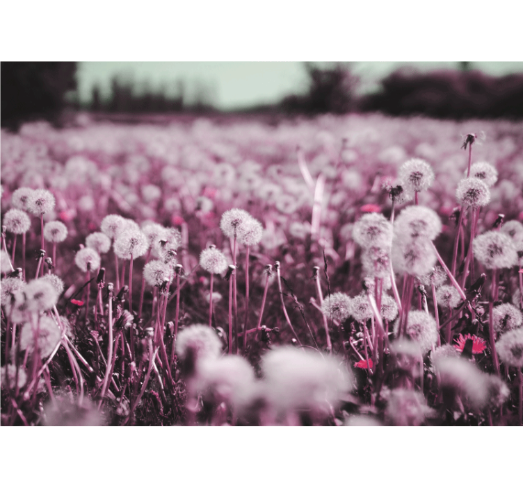 민들레 벽 벽화 보라색 들판 풍경 - TenStickers