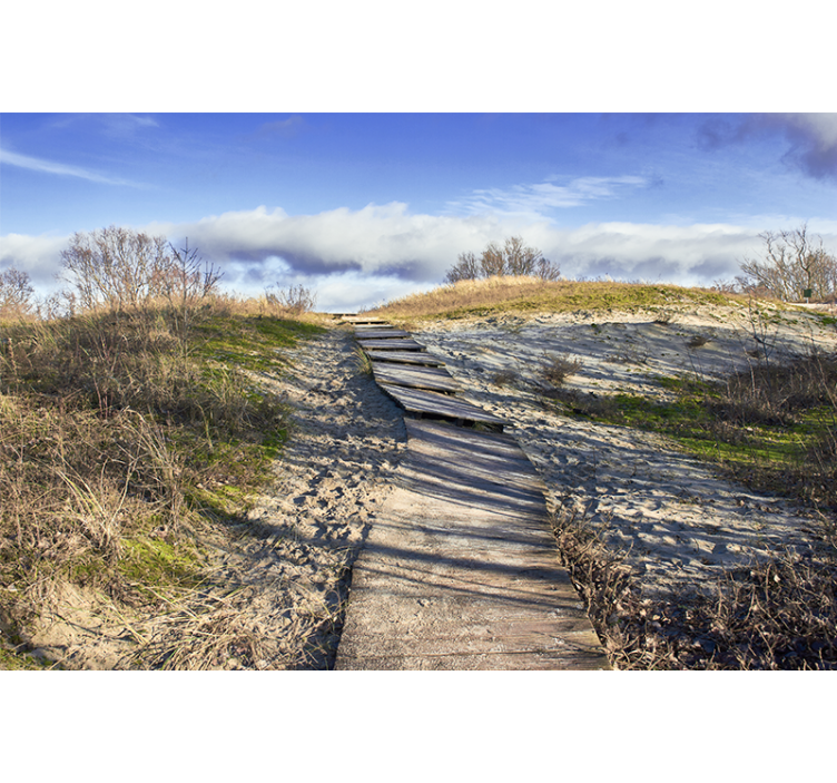 풍경 벽 벽화 나무 길 풍경 - TenStickers