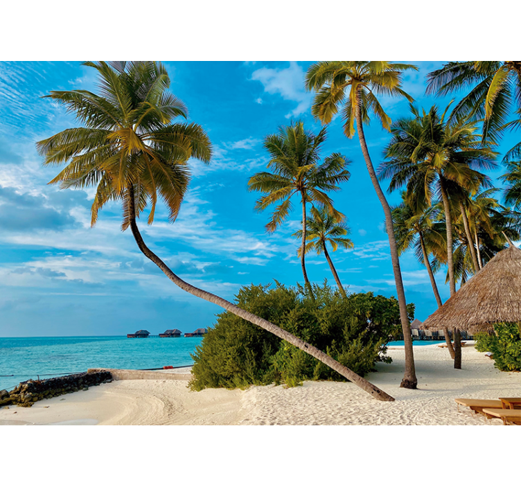 포토 뮤럴 자연 열대 야자수 풍경 - TenStickers