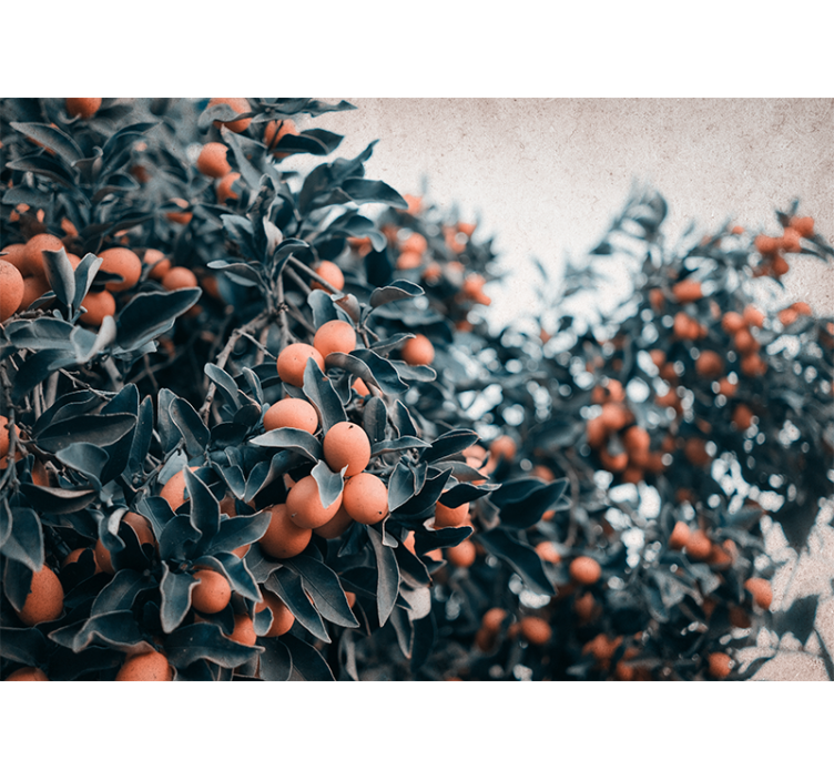 꽃 벽 벽화 감귤 과일 가지 - TenStickers