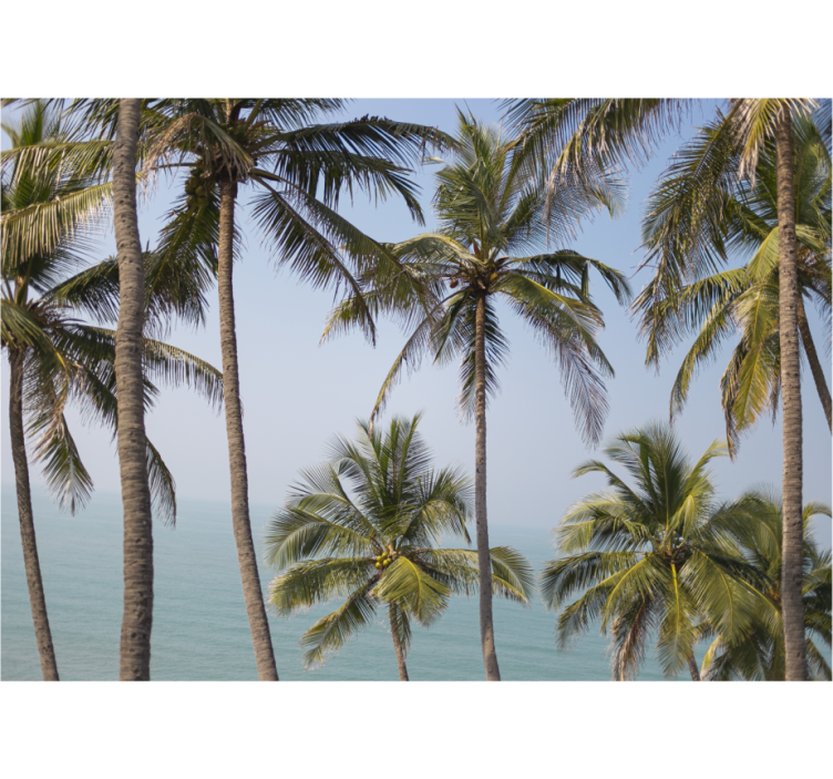 포토 뮤럴 자연 야자수 풍경 - TenStickers