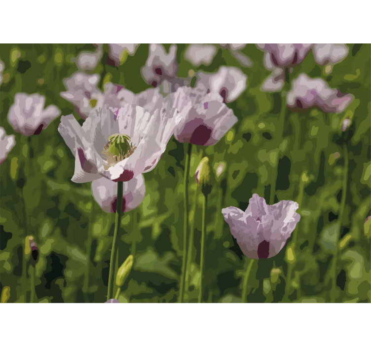 양귀비 벽 벽화 꽃의 우아함 - TenStickers