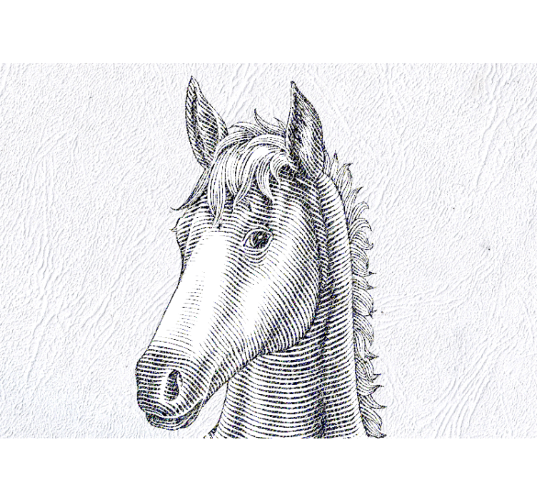 동물 벽 벽화 우아한 말 초상화 - TenStickers