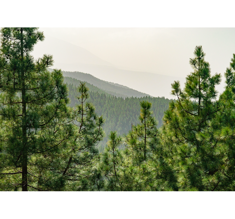 포토 뮤럴 자연 울창한 녹음의 풍경 - TenStickers