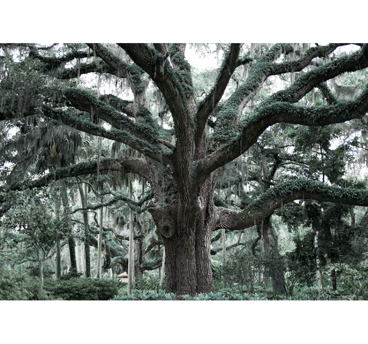 이끼 숲 벽 벽화로 덮인 거대한 나무 - TenStickers