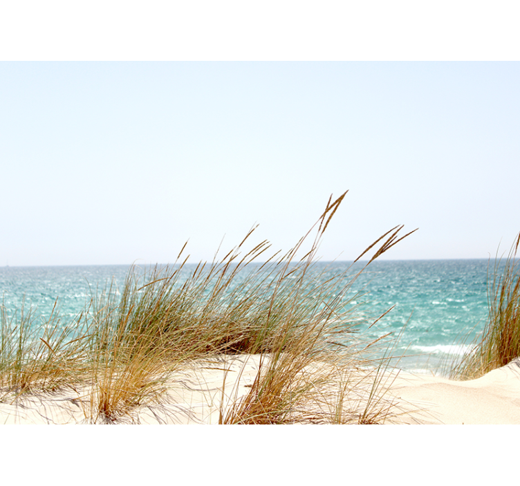 포토 뮤럴 자연 고요한 해안선 전망 - TenStickers