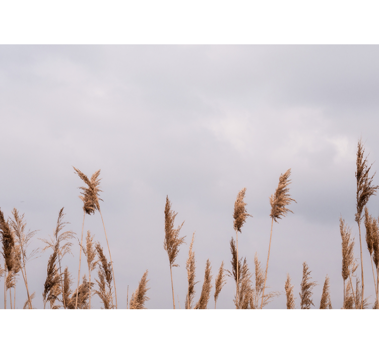 나무 벽 벽화 키 큰 풀 실루엣 - TenStickers