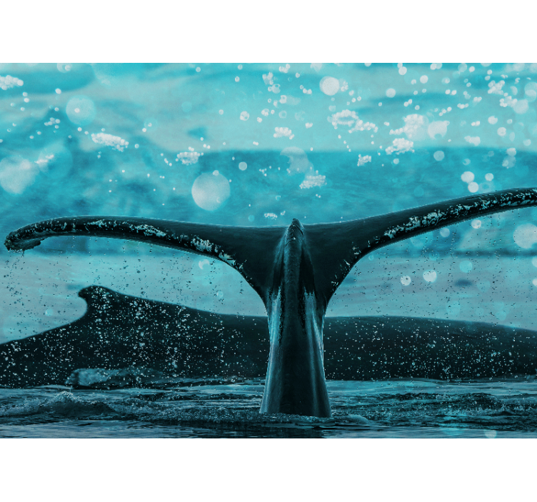 동물 벽 벽화 고래 지느러미 물보라 - TenStickers
