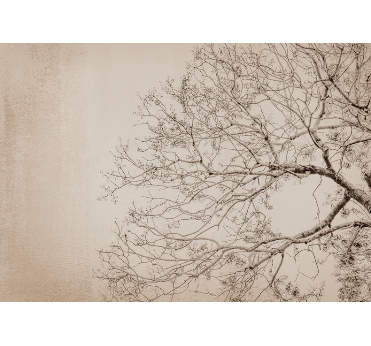 나무 벽 벽화 아름다운 가지 실루엣 - TenStickers