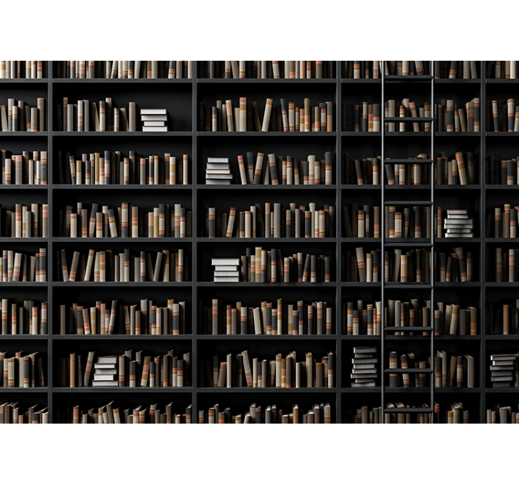 책장 착시 3d 벽 벽화 - TenStickers