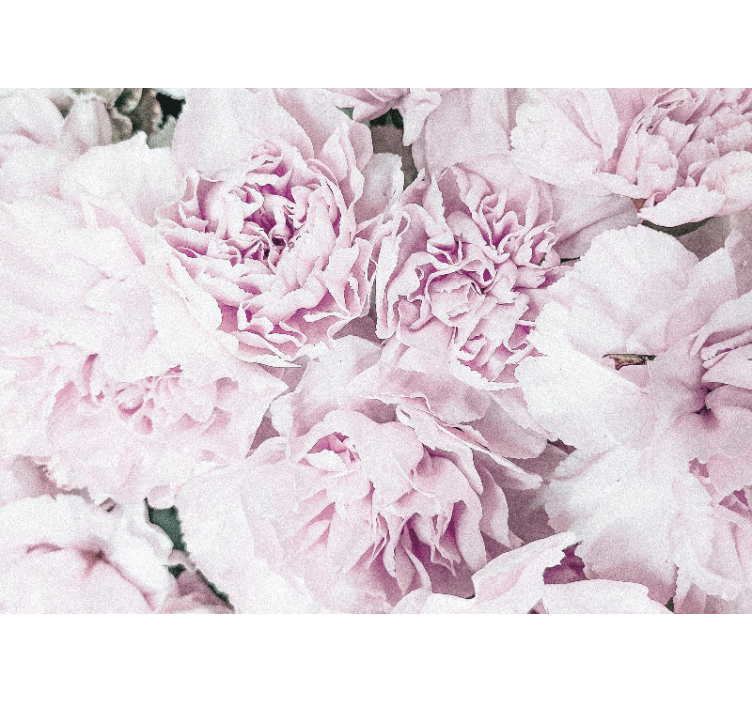 꽃 벽 벽화 부드러운 분홍색 꽃들 - TenStickers