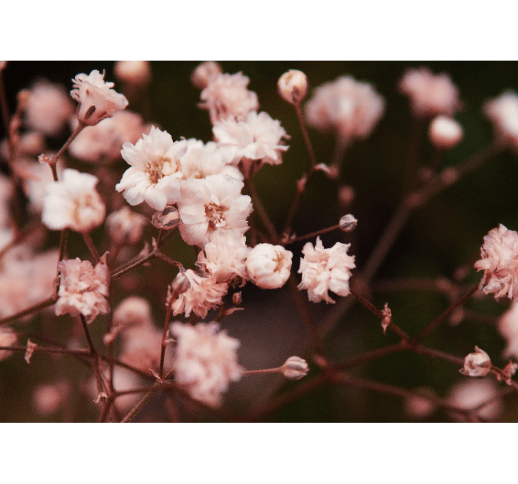 꽃 벽 벽화 섬세하게 피어나는 꽃들 - TenStickers