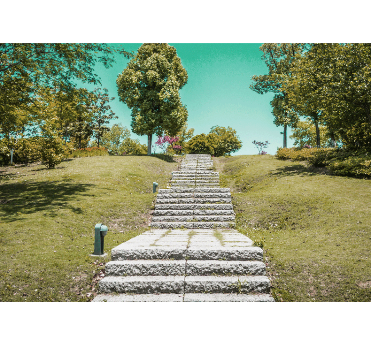 포토 뮤럴 자연 자연을 통한 계단 - TenStickers