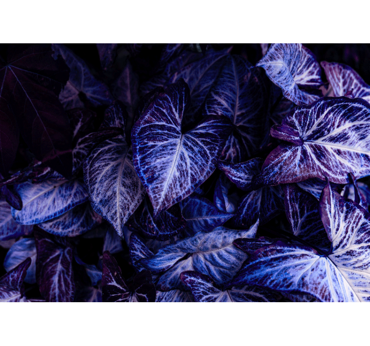 거실 벽 벽화 보라색 잎 패턴 - TenStickers