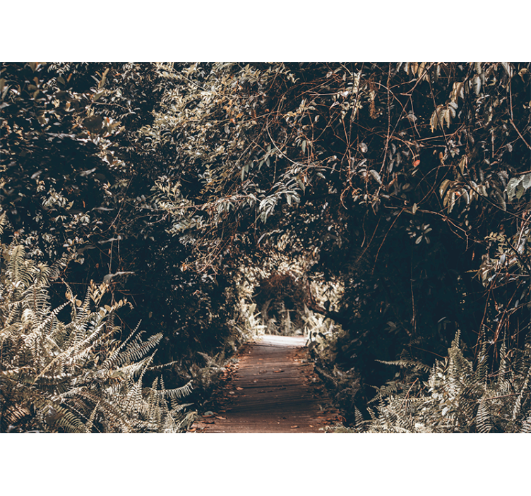 포토 뮤럴 자연 숲길 산책로 - TenStickers