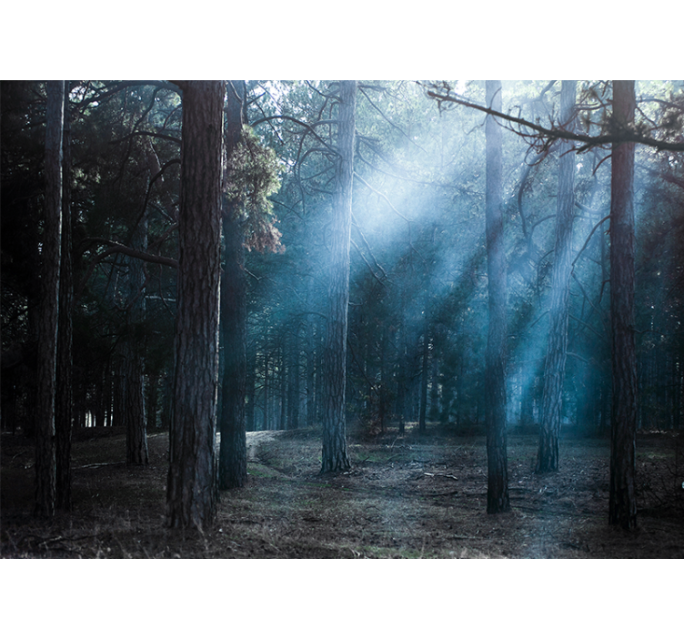 숲 벽 벽화 안개 낀 흐릿한 길 - TenStickers