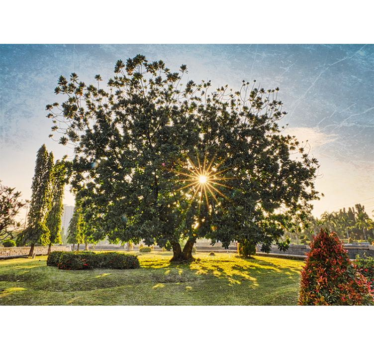 포토 뮤럴 자연 맑은 나무 풍경 - TenStickers