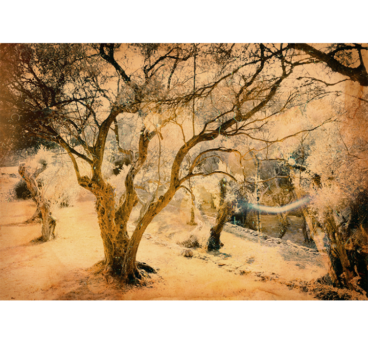 숲 벽 벽화 올리브 나무 금색 - TenStickers