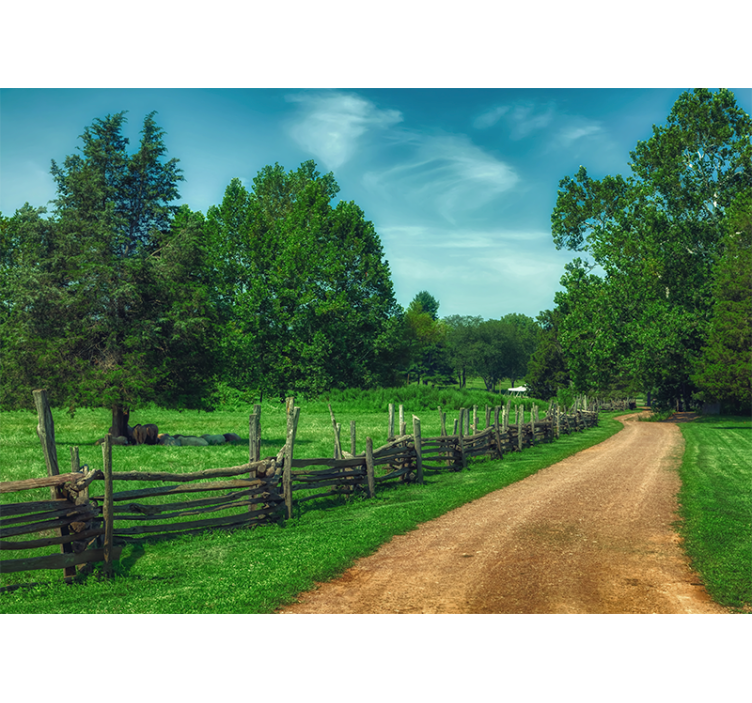 풍경 벽 벽화 생동감 넘치는 초록색 산책로 - TenStickers