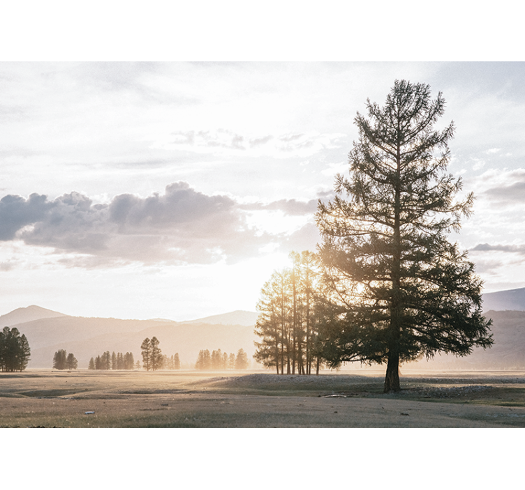 나무 자연 벽화가 있는 차가운 들판 - TenStickers