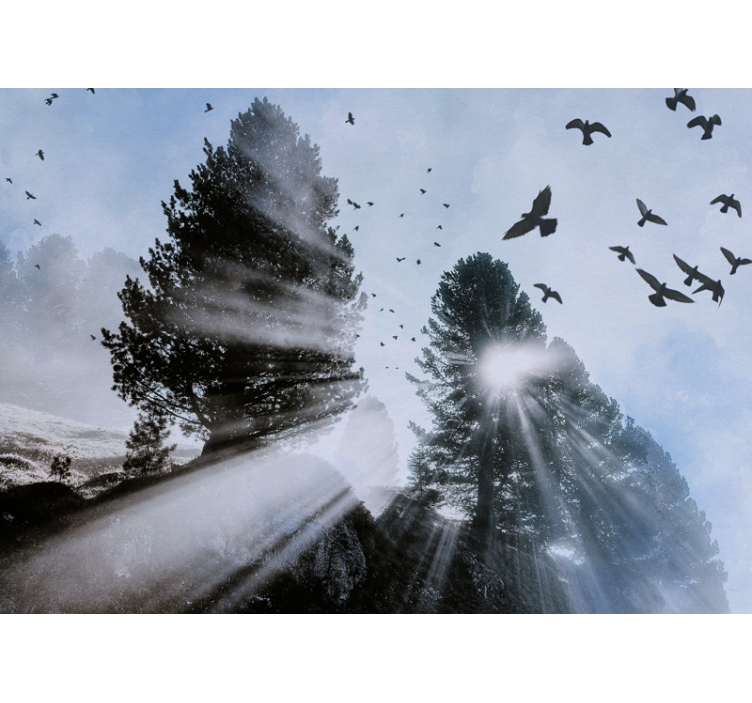 숲 벽 벽화 빛나는 숲의 햇살과 새들 - TenStickers