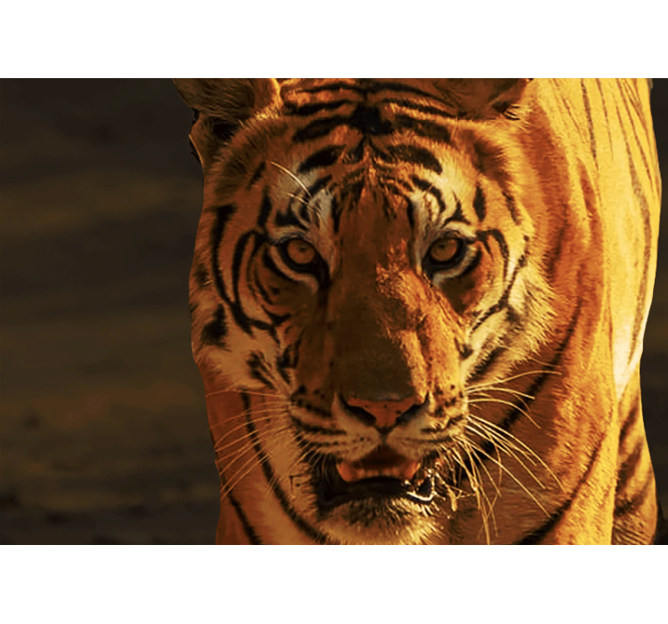 위협적이고 화난 호랑이 벽화 - TenStickers