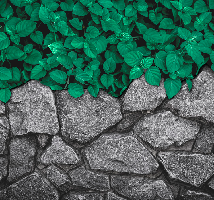 포토 뮤럴 자연 풍부한 녹색 대비 - TenStickers