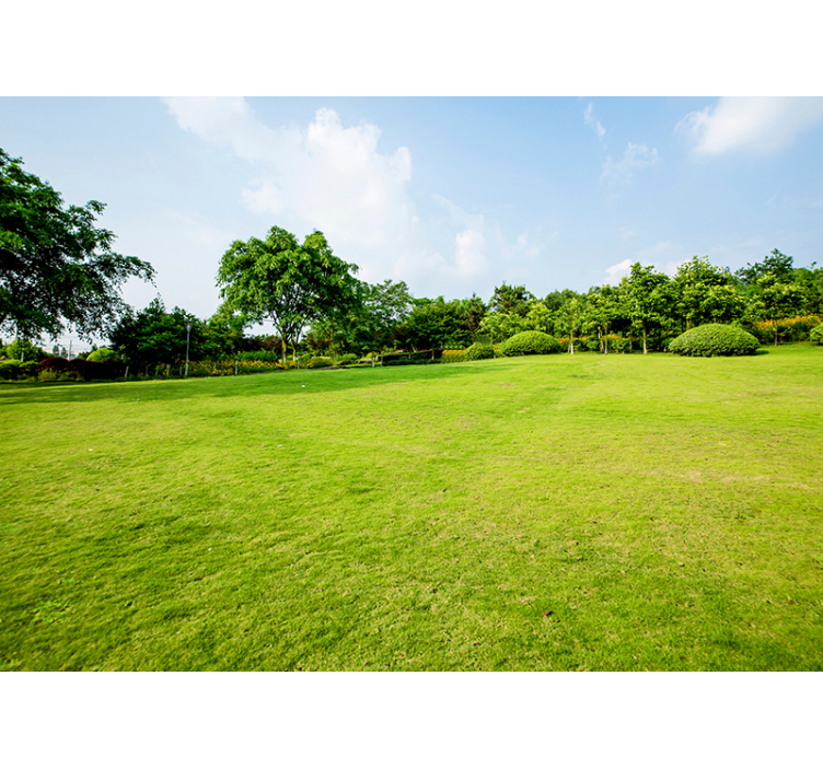 포토 뮤럴 자연 푸른 초원 파노라마 - TenStickers