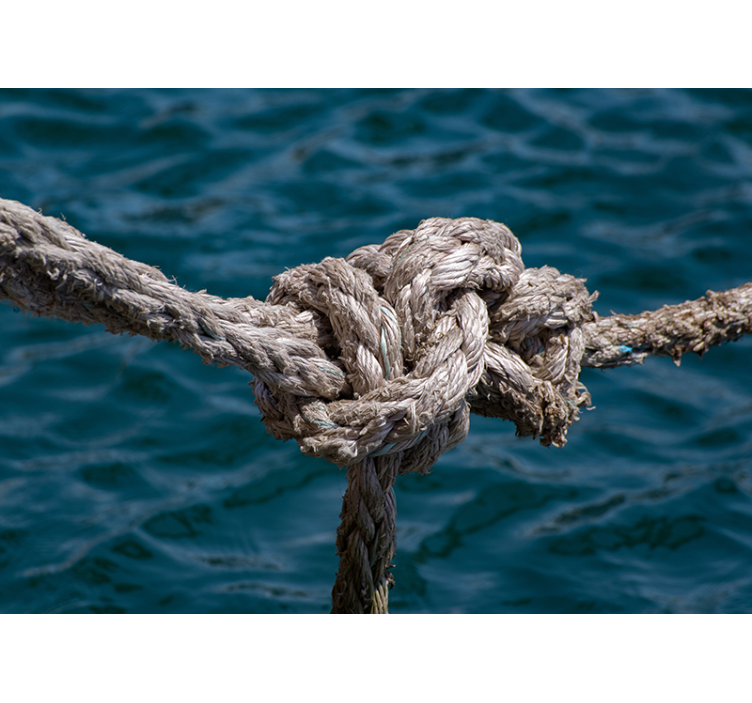 벽화 바다 해상 매듭 강도 - TenStickers